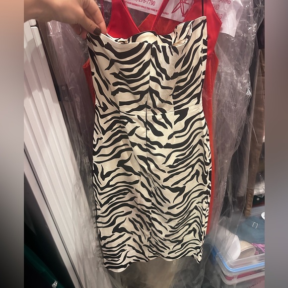 Super Woman: Zebra print. Leather dress.Zip back. - Picture 4 of 10